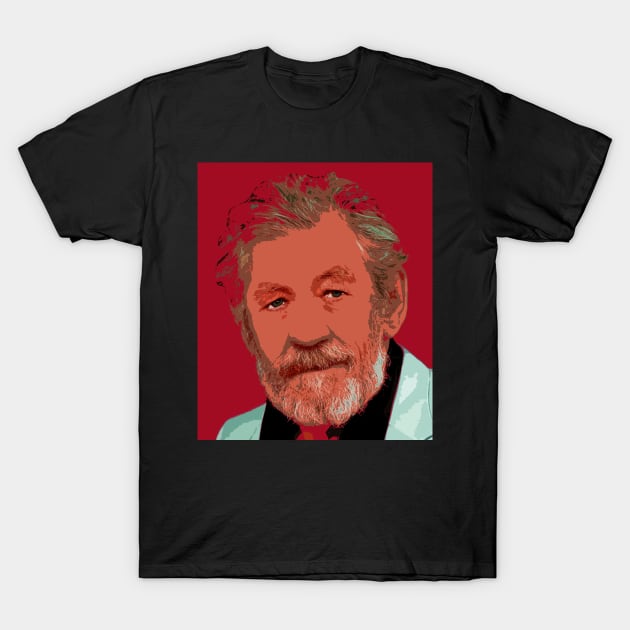 ian mckellen T-Shirt by oryan80